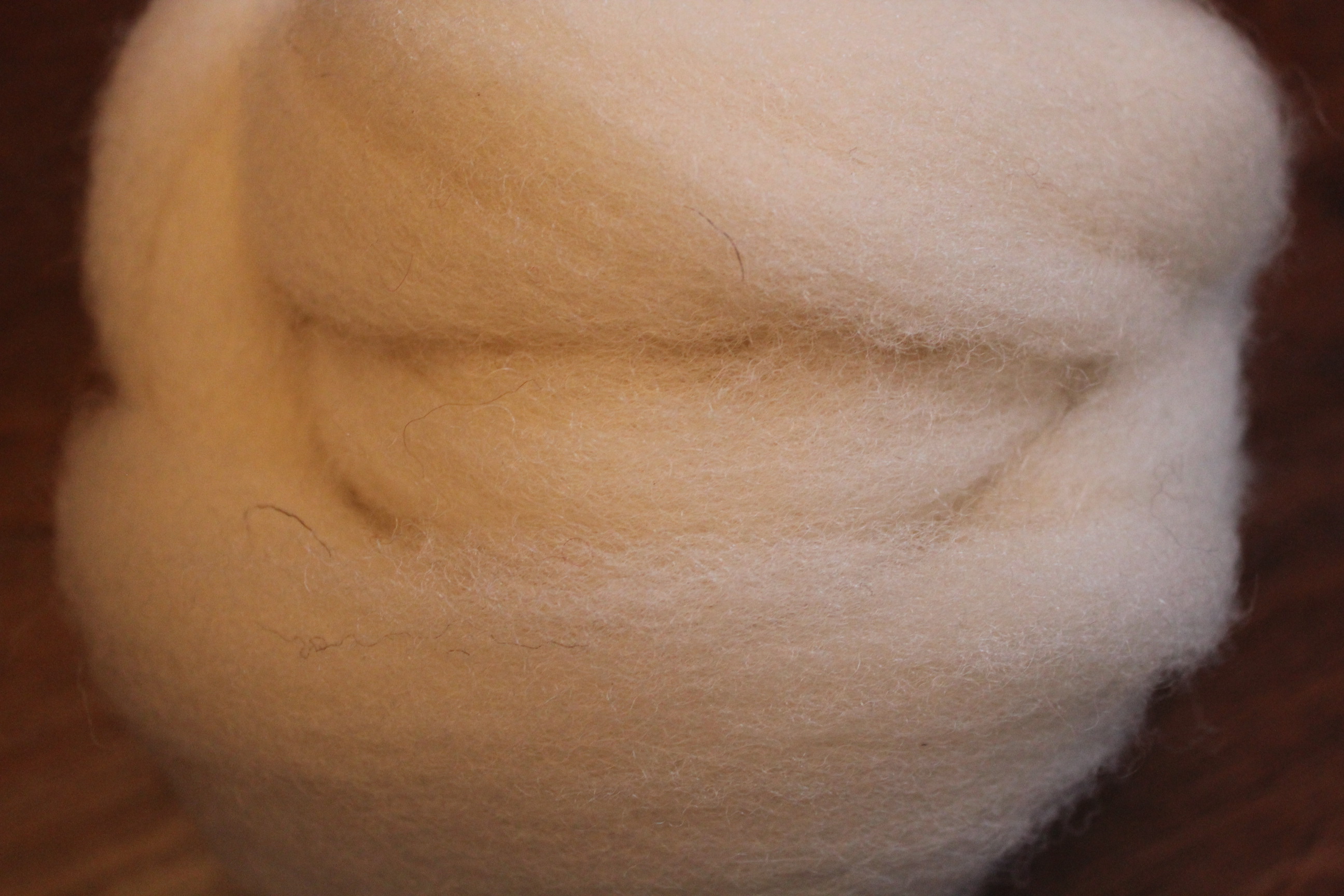 Suffolk X Wool Tops