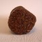 Bergere de France Curly - only £1.20 a ball