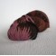 Malabrigo Twist