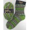 Opal Rainforest IX Sock Yarn 