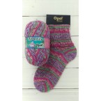 Opal Adventure Sock Yarn