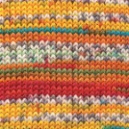 Regia 6 Ply Square Colour Sock Yarn