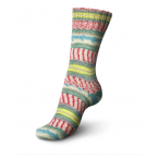 Regia Design Line by Arne & Carlos Special Edition Sock Yarn