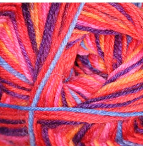Regia 4 Ply Colour