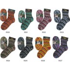Sock Kits!