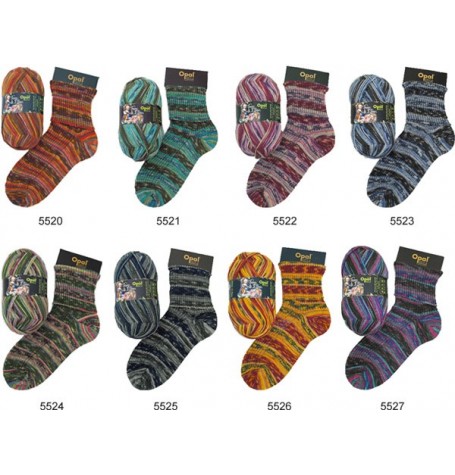 Sock Kits!